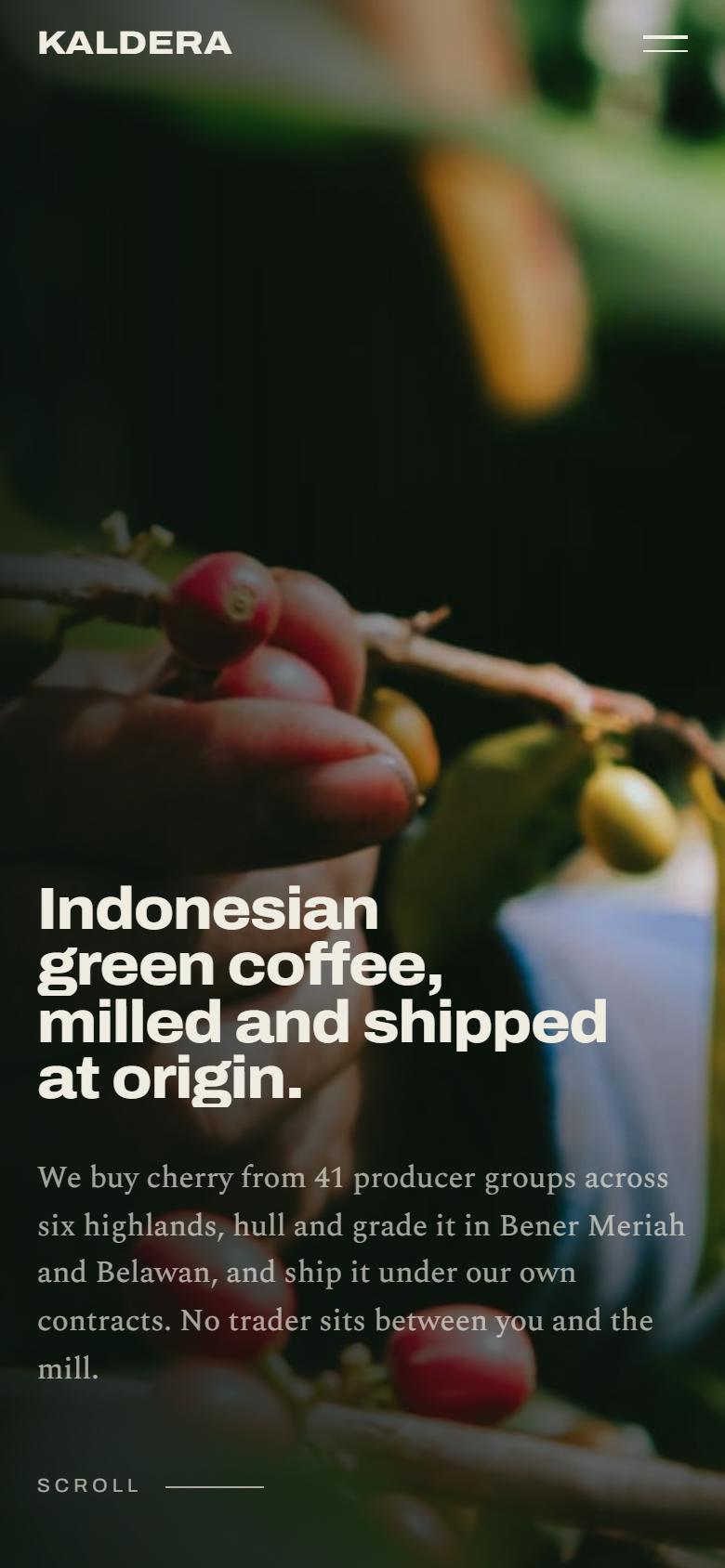 Greenbean Manifes — tampilan HP