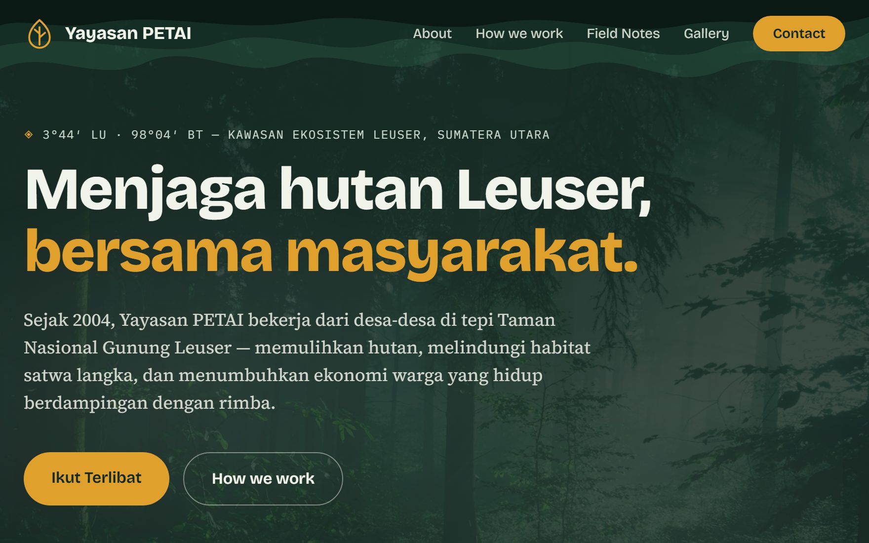 Hutan Lestari preview